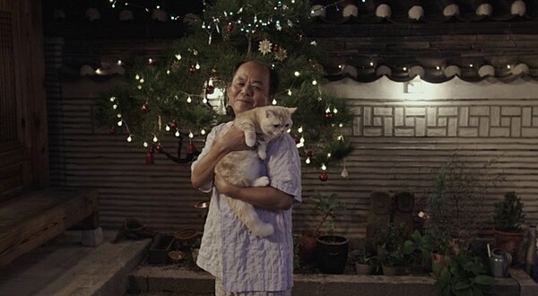 영화 '나만 없어 고양이' 스틸.