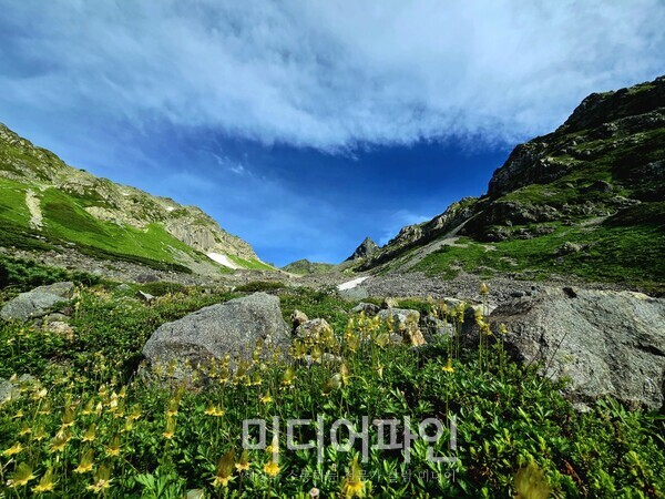 산다는 것은 [김동선 작가]