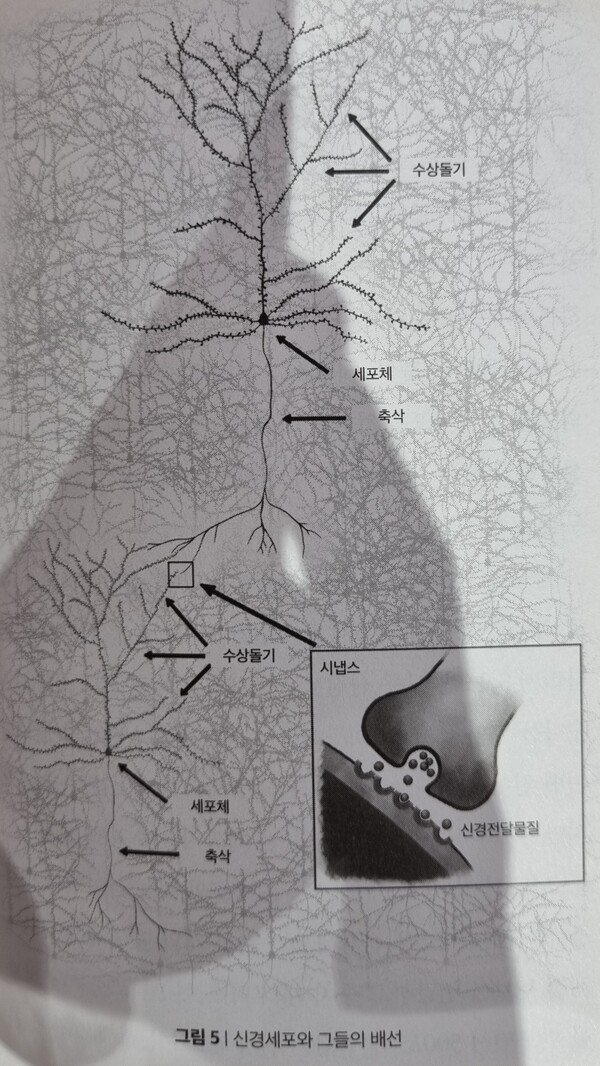 GPT(Generative Pre-trained Transformer)에 관한 GPT와 대화 [김철홍 칼럼]
