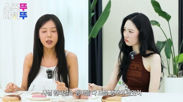 선미, 원더걸스 재결합 불참한 이유는?