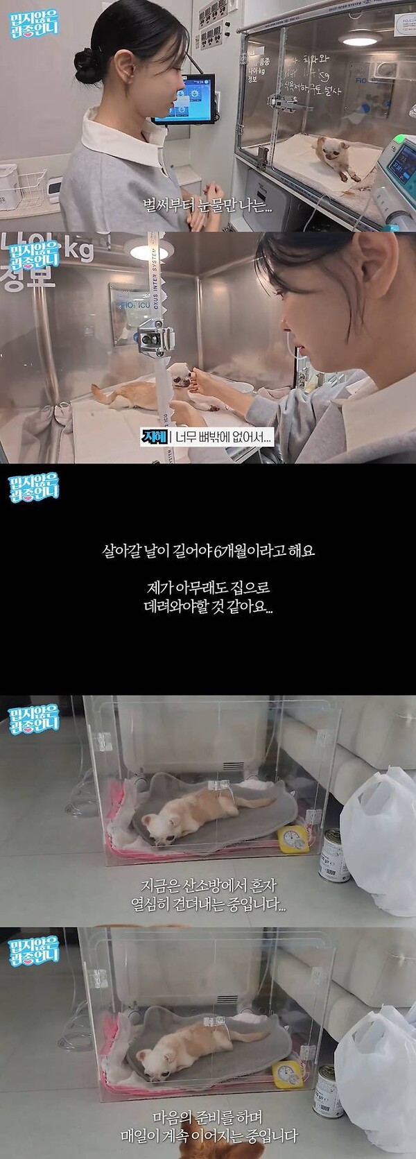 이지혜, "6개월 시한부 선고" 오열