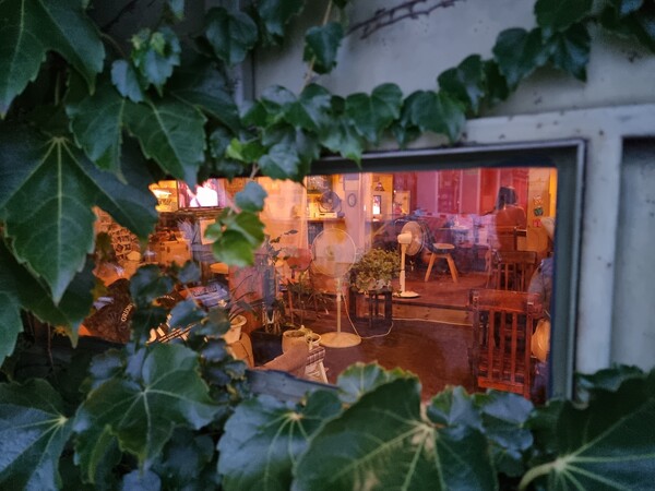 담쟁이로 뒤덮인 문 안쪽으로 ‘바그다드 카페’의 아늑한 실내가 보인다. ⓒ조동범