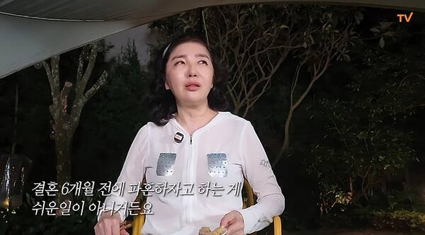 여에스더, 서울대 CC와 약혼-결혼 6달 전 파혼