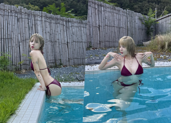 뉴스 사진