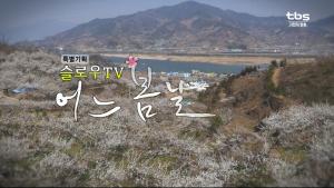tbs 특별기획 “슬로우 TV” 형식의 「어느 봄날」 섬진강 매화마을 편, tbs TV 26일(일) 오후 2시 방송