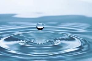 인간은 좋은 물을 적당히 음용하여 생명을 유지한다 [박창희 칼럼]