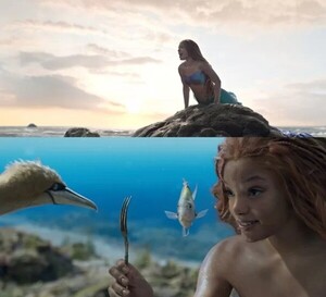 '인어공주' 할리 베일리, 출연료 얼마?