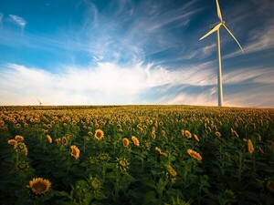 풍력터빈: 깨끗한 에너지 생산과 대기 중 이산화탄소 포획의 이중 장점