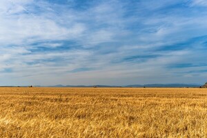 미국 중서부 대초원: 지속 불가능한 토양 침식과 농작물 생산 감소