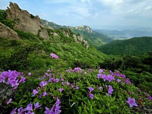 [김동선 작가] 생명의 노래
