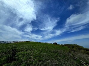 [김동선 작가] 녹턴(Nocturne)