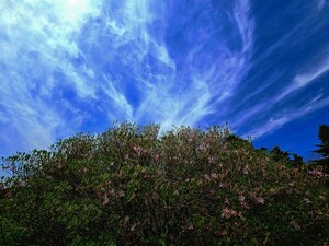 [김동선 작가] 사랑은...