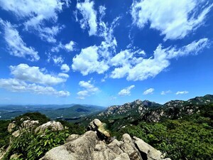그리움 [김동선 작가]