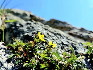 기다림 [김동선 작가]
