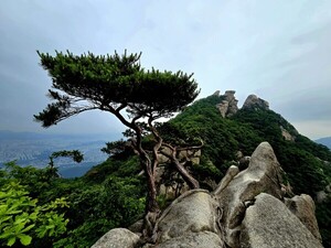 좋은 친구들 [김동선 작가]