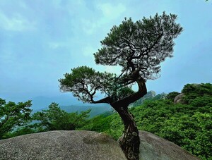 여름 산책 [김동선 작가]