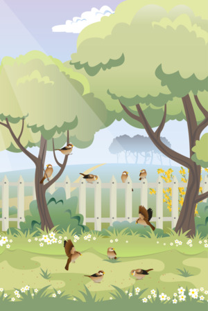 나무는 울지 않는다 [용혜원 시인]