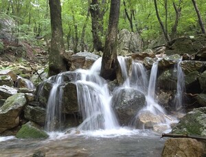 어느 사랑 이야기 [김동선 작가]