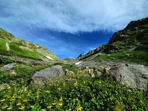 산다는 것은 [김동선 작가]