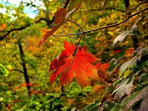 우리들의 이야기 [김동선 작가]