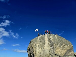 자유와 사랑, 나의 대한민국 [김동선 작가]