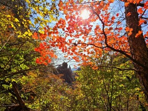 고독한 여행자 [김동선 작가]