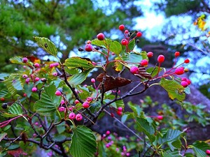 무지개빛 하루 [김동선 작가]