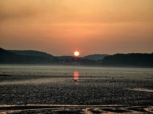 나는 자유 [김동선 작가]
