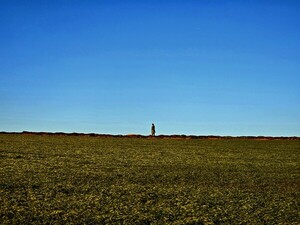 고독에 대하여 [김동선 작가]