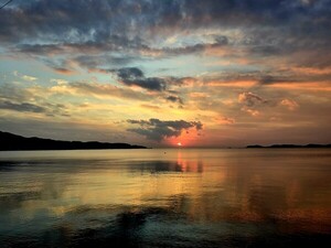 망각은 없다 [김동선 작가]