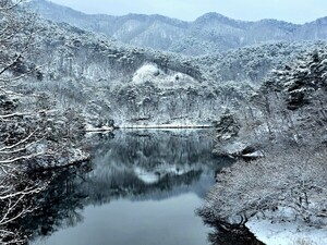 시간의 소리를 듣는다 [김동선 작가]