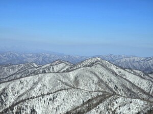 사랑은 낮은 곳에 있다 [김동선 작가]