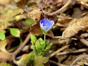 나 홀로 아프다 [김동선 작가]