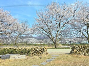 나의 봄이 시작되는 청양 시골카페 ‘앵화당’ [조동범 시인 칼럼]