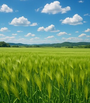 5월 [용혜원 시인]