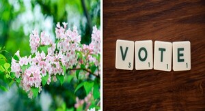 만발(滿發)하고 남발(濫發)하고  [박미주 교수 칼럼]