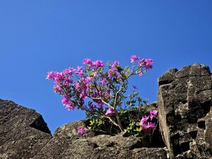사랑은 [김동선 작가]