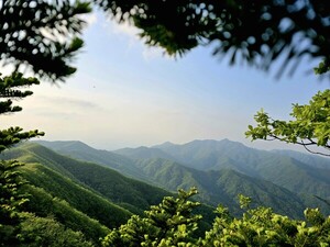 하늘을 보고 흙을 밟으며 [김동선 작가]