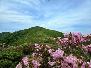 산(山)의 울음 [김동선 작가]
