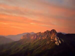 아틀라스가  되고 싶은 별 [김동선 작가]
