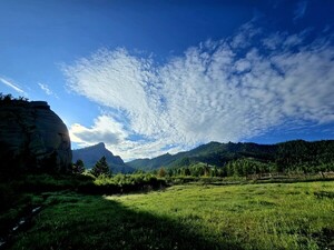 색 [김동선 작가]