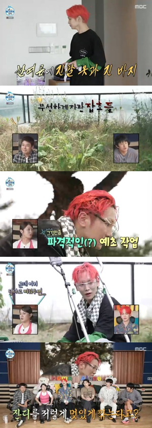 샤이니 키, 정글 된 38억 원 테라스에서 땀범벅 예초