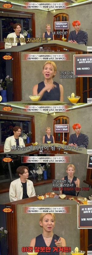 소녀시대 효연 연예인이라서 불법 봐줘? 미담에 소신