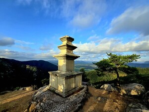 천년의 시간, 역사를 바꾸다 [김동선 작가]
