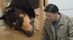 배정남 딸 벨이 하늘의 별이 됐다 반려견 떠나보내