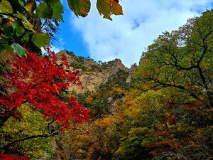 가을을 말한다 [김동선 작가]