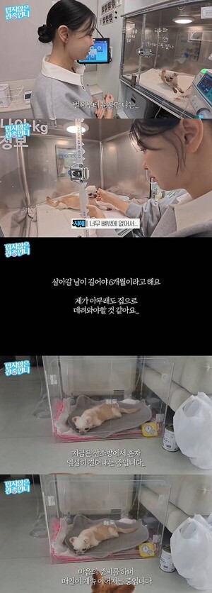 이지혜, 6개월 시한부 선고 오열