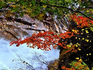생(生) [김동선 작가]