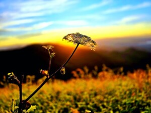 가을, 슬프도록 아름다운 기억 [김동선 작가]