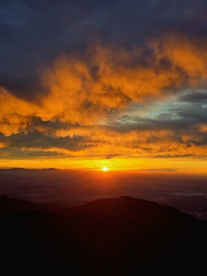 죄와 벌 [김동선 작가]